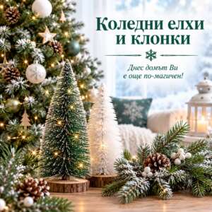 Коледни елхи и клонки